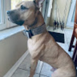 Meet your Posher, Justin